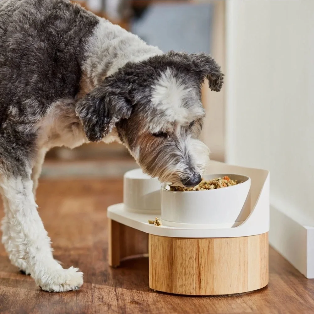 Frisco Elevated Pet Feeder with White Bowls, Size Medium